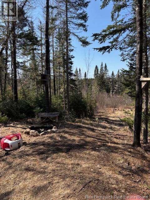 75 Pomeroy Ridge Road, Pomeroy Ridge, New Brunswick E3L 5L9 - Photo 9 - NB132790