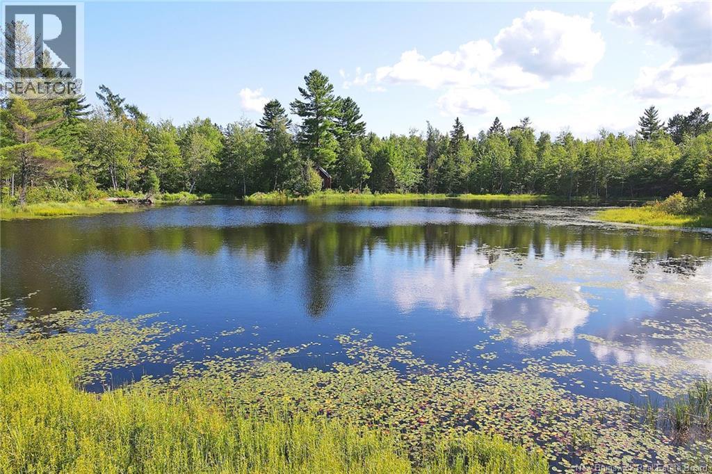 0 101 Route, Tracyville, New Brunswick E5L 1P2 - Photo 49 - NB132925