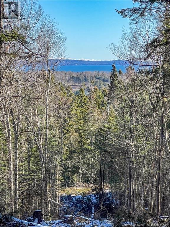 Land Chamcook Lake No. 1 Road, Chamcook, New Brunswick