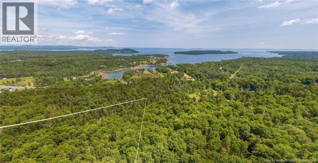 Land Chamcook Lake No. 1 Road, Chamcook, New Brunswick E5B 2Z4 - Photo 2 - NB132987