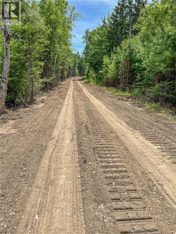 Land Chamcook Lake No. 1 Road, Chamcook, New Brunswick E5B 2Z4 - Photo 4 - NB132987
