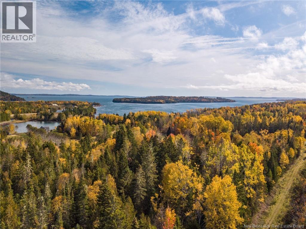 Land Chamcook Lake No. 1 Road, Chamcook, New Brunswick E5B 2Z4 - Photo 8 - NB132987