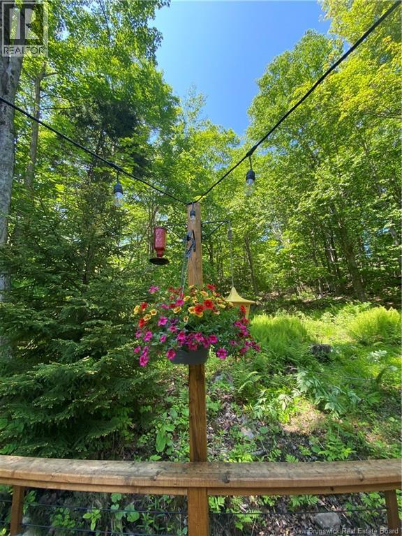 49 Queensbury Drive, Quispamsis, New Brunswick  E2E 4Z1 - Photo 43 - NB132867