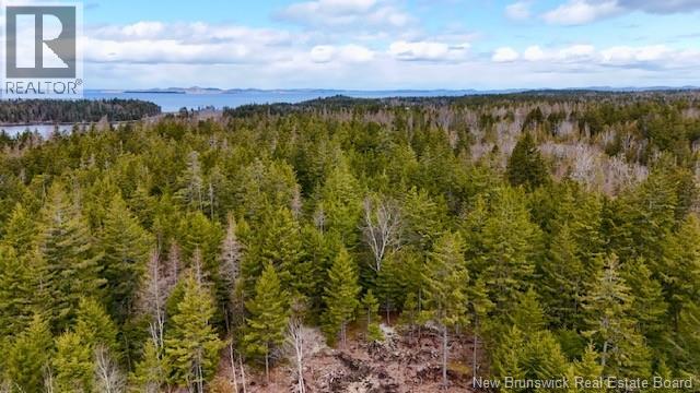 806 Route 772, Fairhaven, New Brunswick  E5V 1P3 - Photo 11 - NB133204