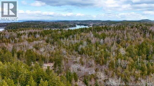 806 Route 772, Fairhaven, New Brunswick  E5V 1P3 - Photo 12 - NB133204