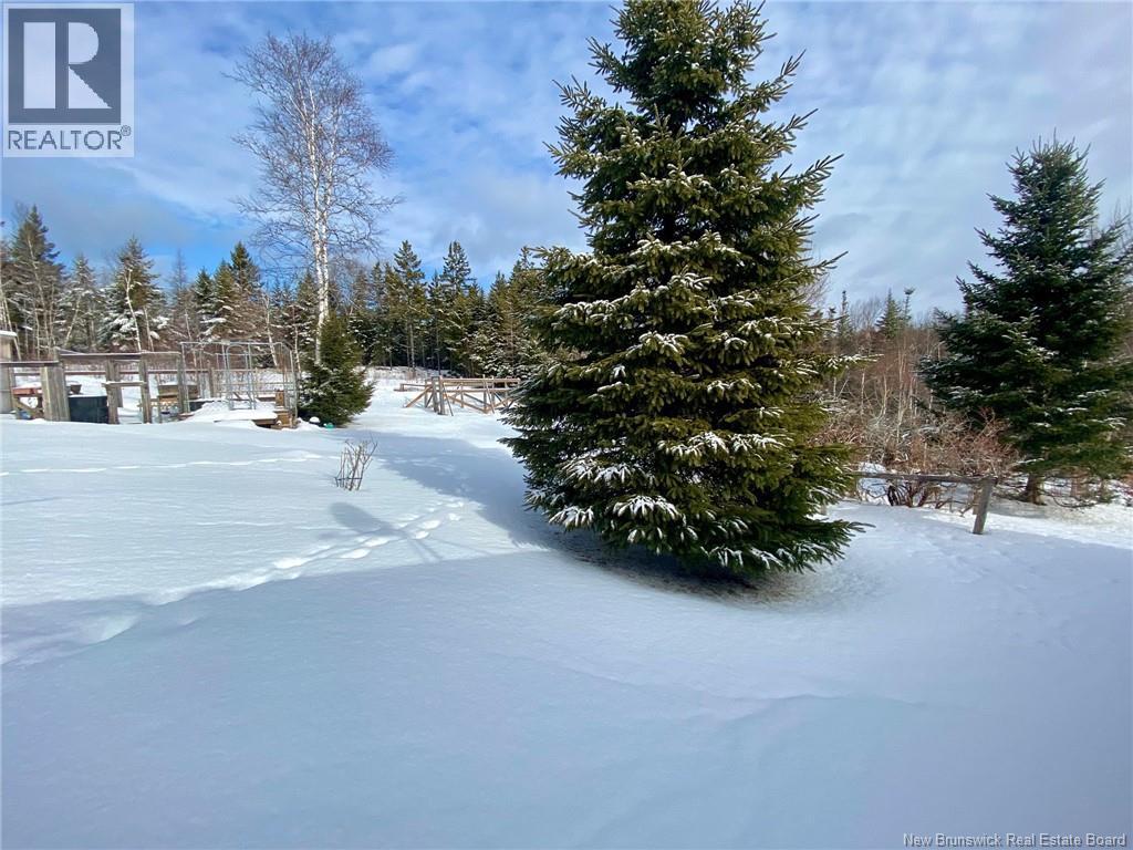 806 Route 772, Fairhaven, New Brunswick  E5V 1P3 - Photo 46 - NB133204