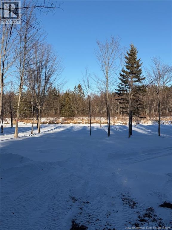005 Reardon Road, Elmsville, New Brunswick  E5A 0B6 - Photo 10 - NB133275