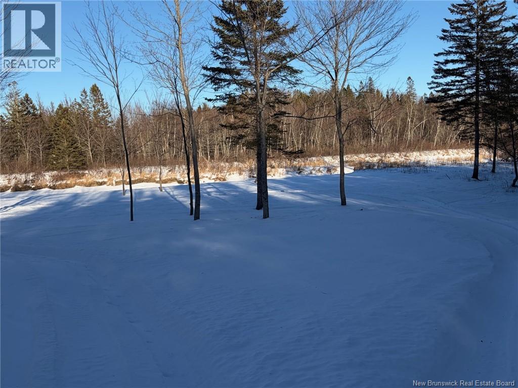 005 Reardon Road, Elmsville, New Brunswick E5A 0B6 - Photo 3 - NB133275