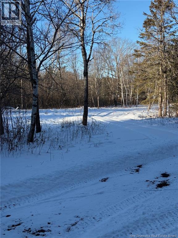 005 Reardon Road, Elmsville, New Brunswick E5A 0B6 - Photo 6 - NB133275