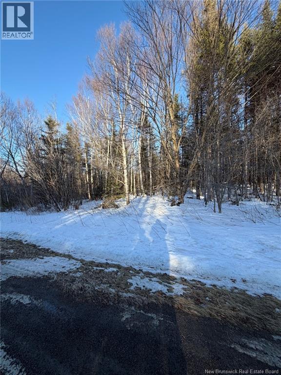 00-2 Reardon Road, Elmsville, New Brunswick  E5A 0B5 - Photo 8 - NB133269