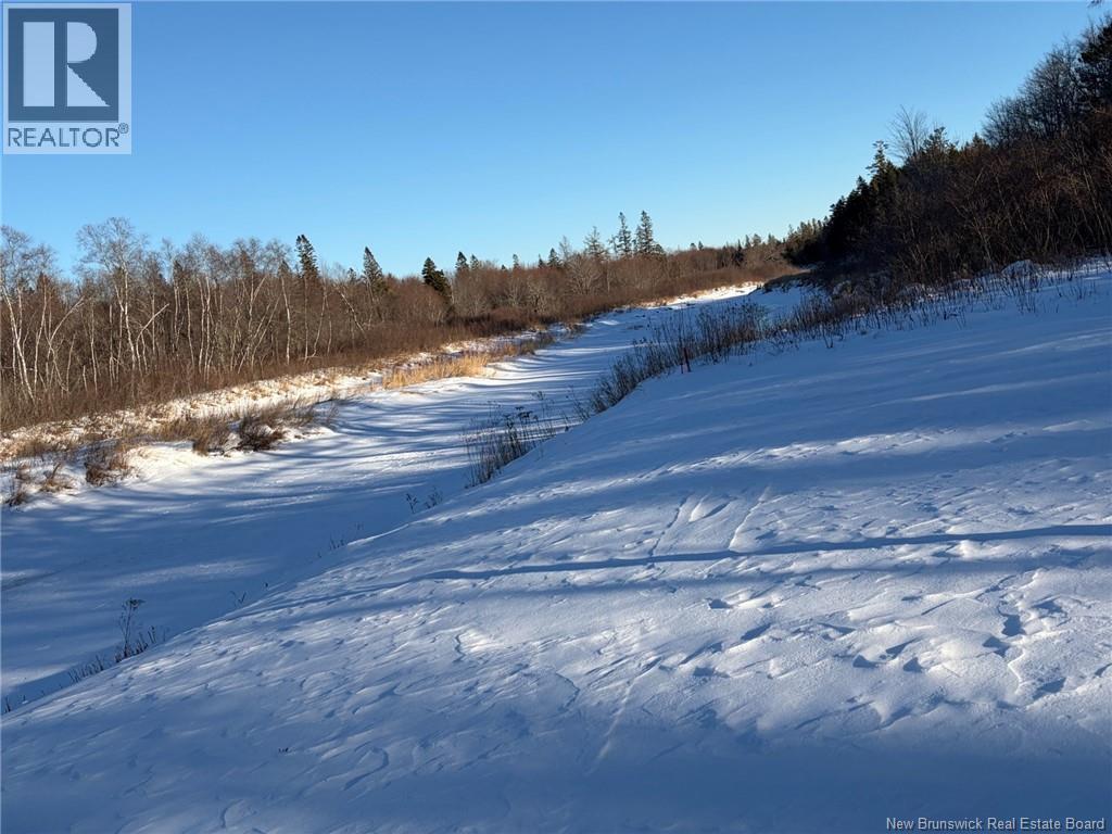 00-1 Reardon Road, Elmsville, New Brunswick  E5A 0B6 - Photo 4 - NB133282