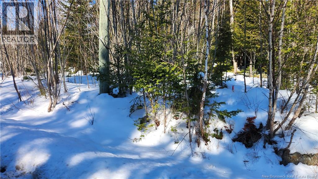 134 Highland Road, Grand Bay-Westfield, New Brunswick  E5K 1H8 - Photo 5 - NB133355