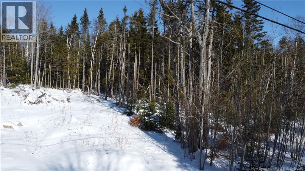 134 Highland Road, Grand Bay-Westfield, New Brunswick  E5K 1H8 - Photo 6 - NB133355