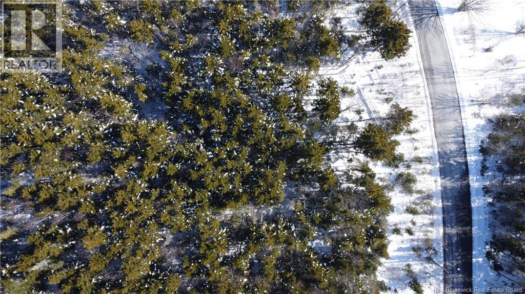 128 Highland Road, Grand Bay-Westfield, New Brunswick  E5K 1H8 - Photo 6 - NB133345