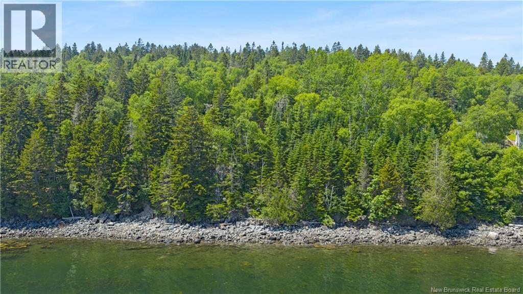 Lot Berry Point Road, Bocabec, New Brunswick E5B 3P3 - Photo 18 - NB133495