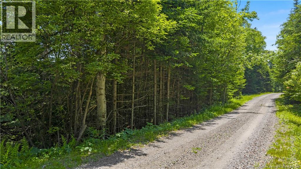 Lot Berry Point Road, Bocabec, New Brunswick E5B 3P3 - Photo 22 - NB133495
