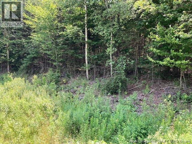 0 Frye Road, Chamcook, New Brunswick  E5B 3R6 - Photo 4 - NB133915