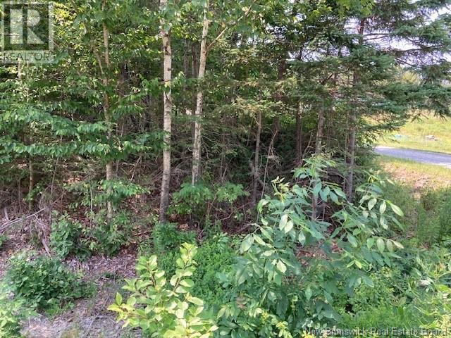 0 Frye Road, Chamcook, New Brunswick  E5B 3R6 - Photo 5 - NB133915