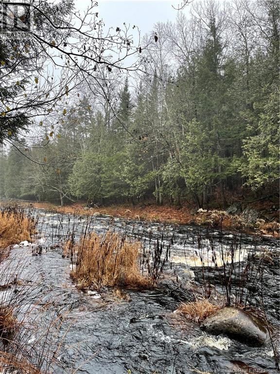 519 Route 725, Little Ridge, New Brunswick  E3L 5N8 - Photo 5 - NB133929
