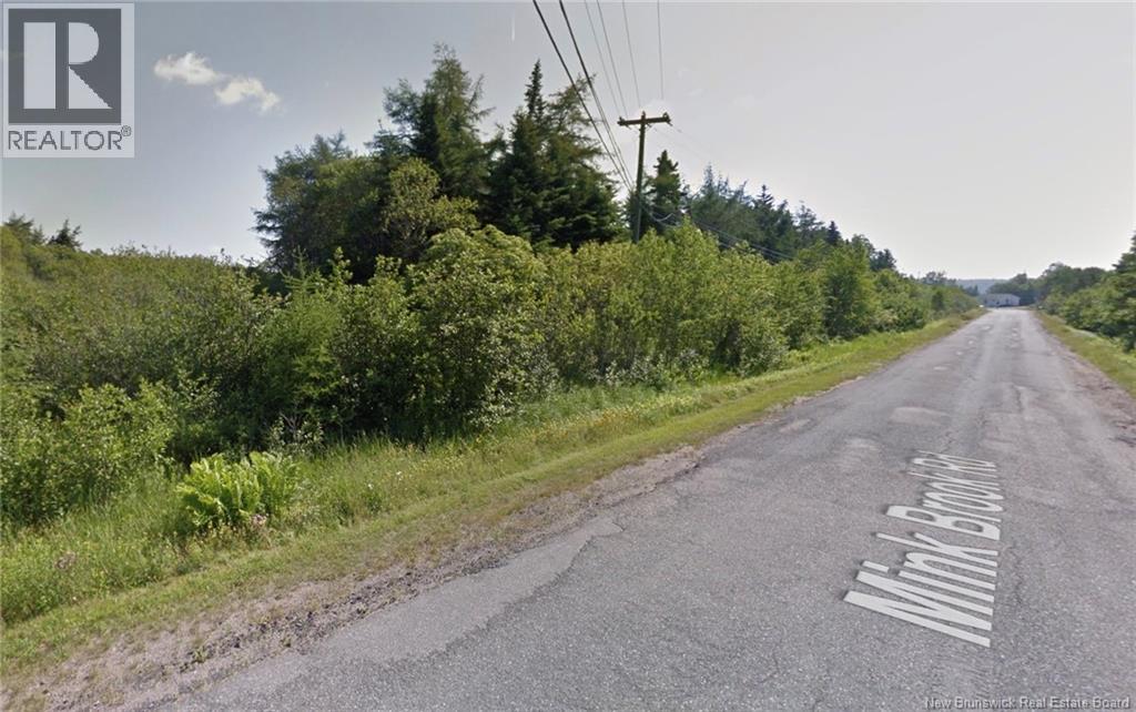 Mink Brook Road, Lepreau, New Brunswick  E5J 1K7 - Photo 3 - NB134050