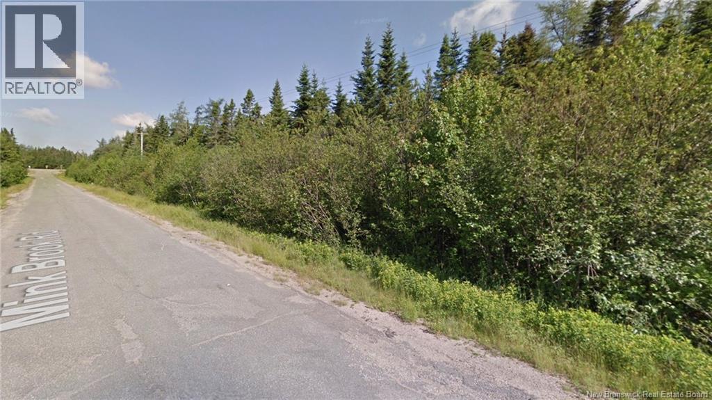 Mink Brook Road, Lepreau, New Brunswick  E5J 1K7 - Photo 4 - NB134050