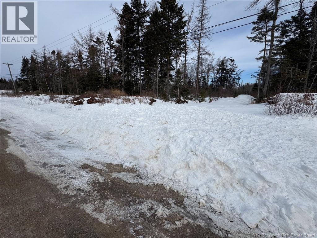 Mink Brook Road, Lepreau, New Brunswick  E5J 1K7 - Photo 5 - NB134050