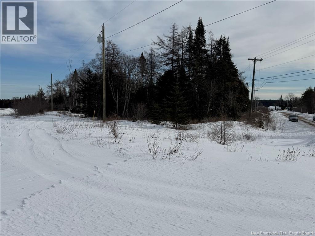 Mink Brook Road, Lepreau, New Brunswick  E5J 1K7 - Photo 7 - NB134050
