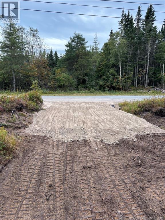 Mink Brook Road, Lepreau, New Brunswick  E5J 1K7 - Photo 8 - NB134050