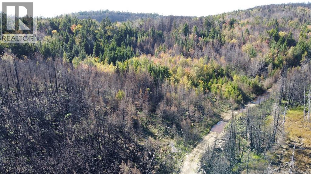 Lot 3 And 4 Route 127, Bocabec, New Brunswick  E5B 3H4 - Photo 17 - NB134264