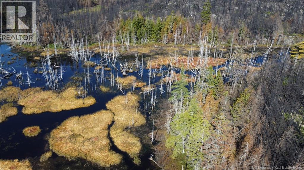 Lot 3 And 4 Route 127, Bocabec, New Brunswick  E5B 3H4 - Photo 19 - NB134264