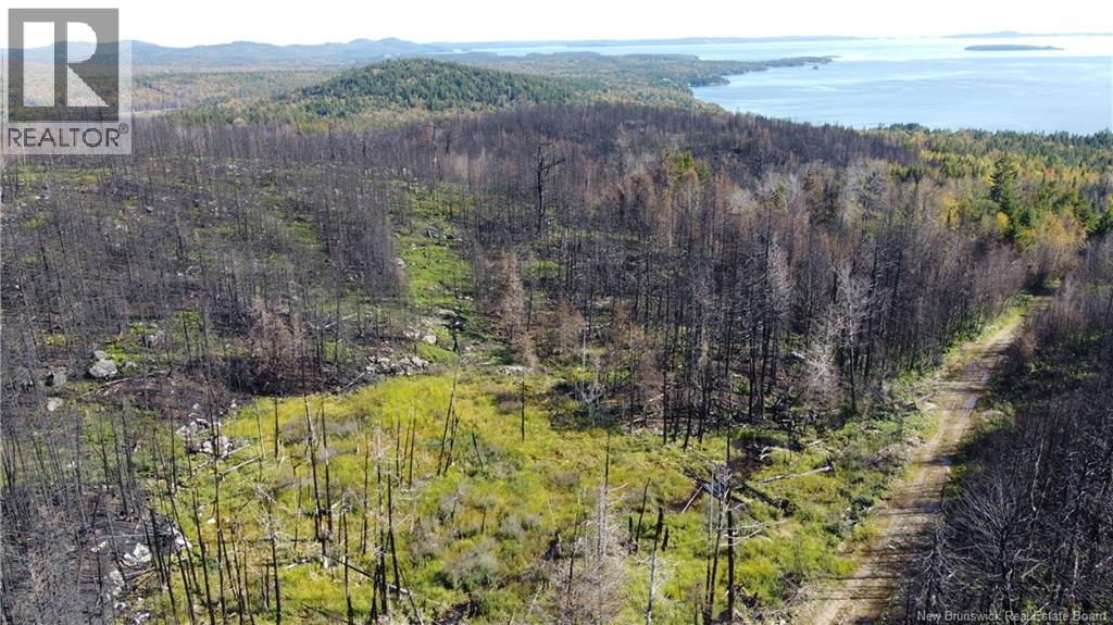 Lot 6 Route 127, Bocabec, New Brunswick  E5B 3H4 - Photo 14 - NB134263