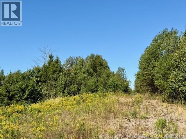 1191  137 Route 785, Utopia, New Brunswick  E5C 2L3 - Photo 3 - NB134476