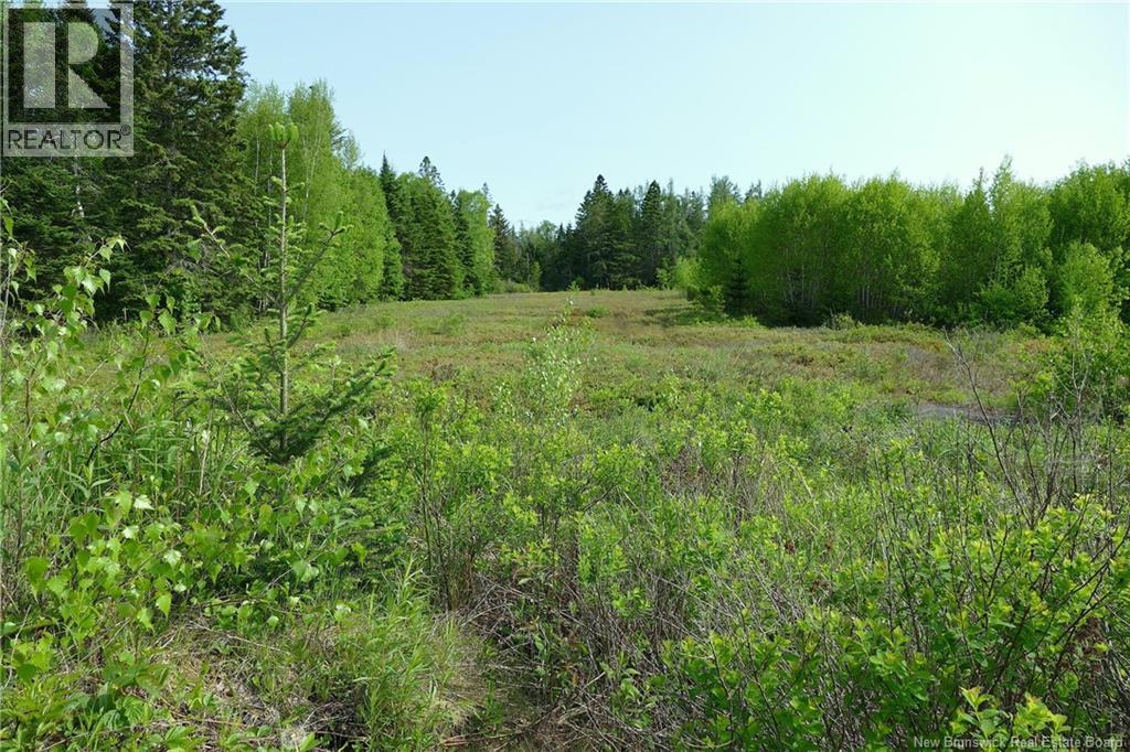 977 Route 770, Bonny River, New Brunswick  E5C 1C8 - Photo 5 - NB134602