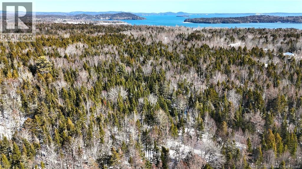 000 Harkness Road, Saint Andrews, New Brunswick  E5B 3E7 - Photo 15 - NB134429