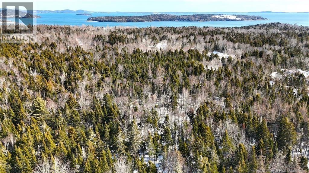 000 Harkness Road, Saint Andrews, New Brunswick  E5B 3E7 - Photo 18 - NB134429