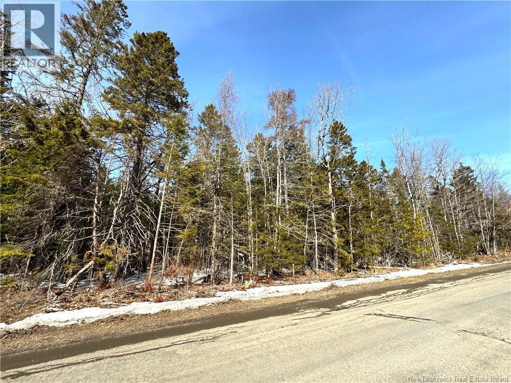 000 Harkness Road, Saint Andrews, New Brunswick  E5B 3E7 - Photo 20 - NB134429