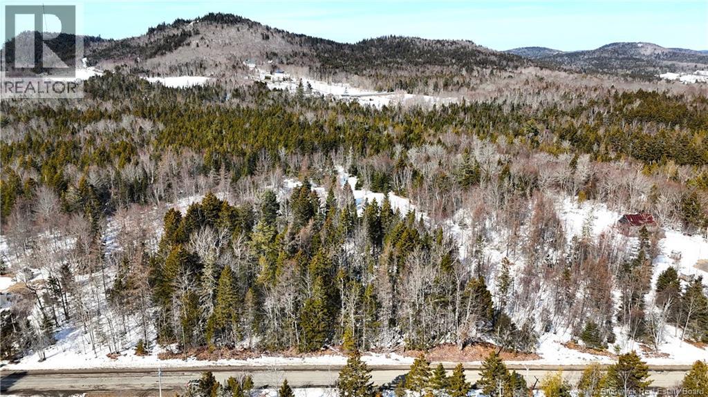 000 Harkness Road, Saint Andrews, New Brunswick  E5B 3E7 - Photo 5 - NB134429