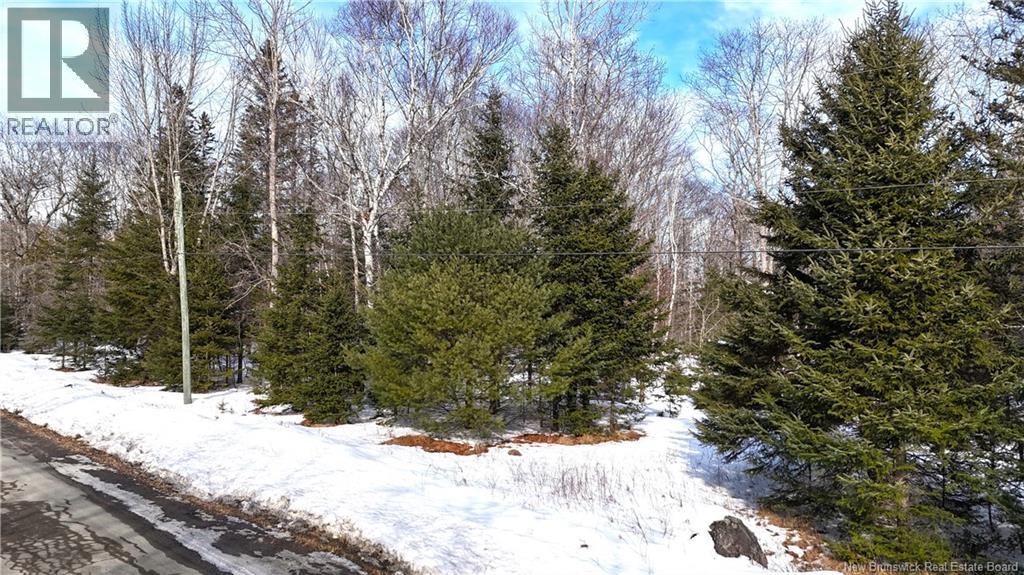 Lot 12-2 Hills Point Road, Oak Bay, New Brunswick  E3L 4K5 - Photo 10 - NB133952