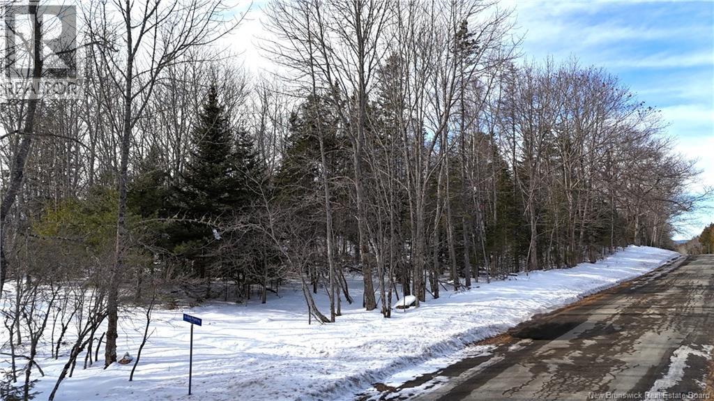 Lot 12-2 Hills Point Road, Oak Bay, New Brunswick  E3L 4K5 - Photo 11 - NB133952