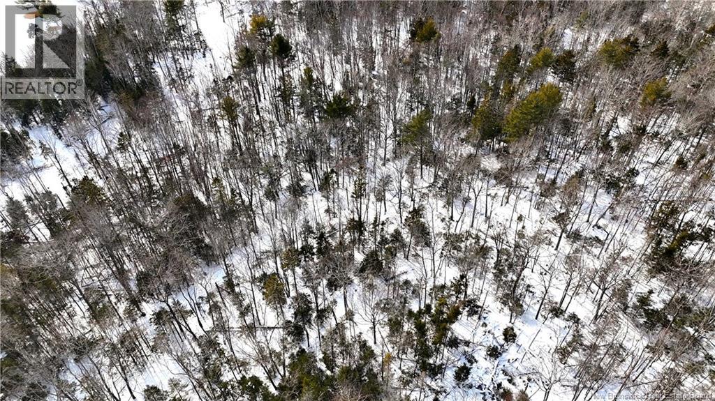 Lot 12-2 Hills Point Road, Oak Bay, New Brunswick  E3L 4K5 - Photo 17 - NB133952