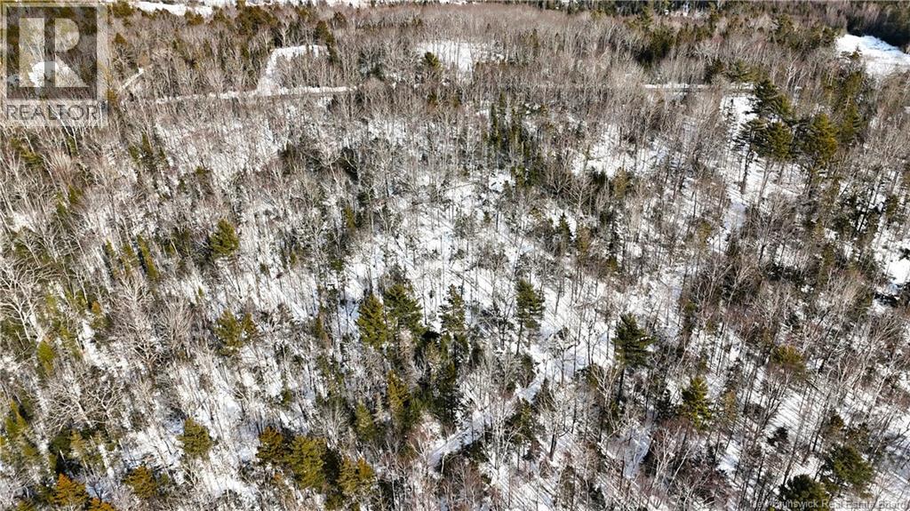 Lot 12-2 Hills Point Road, Oak Bay, New Brunswick  E3L 4K5 - Photo 19 - NB133952