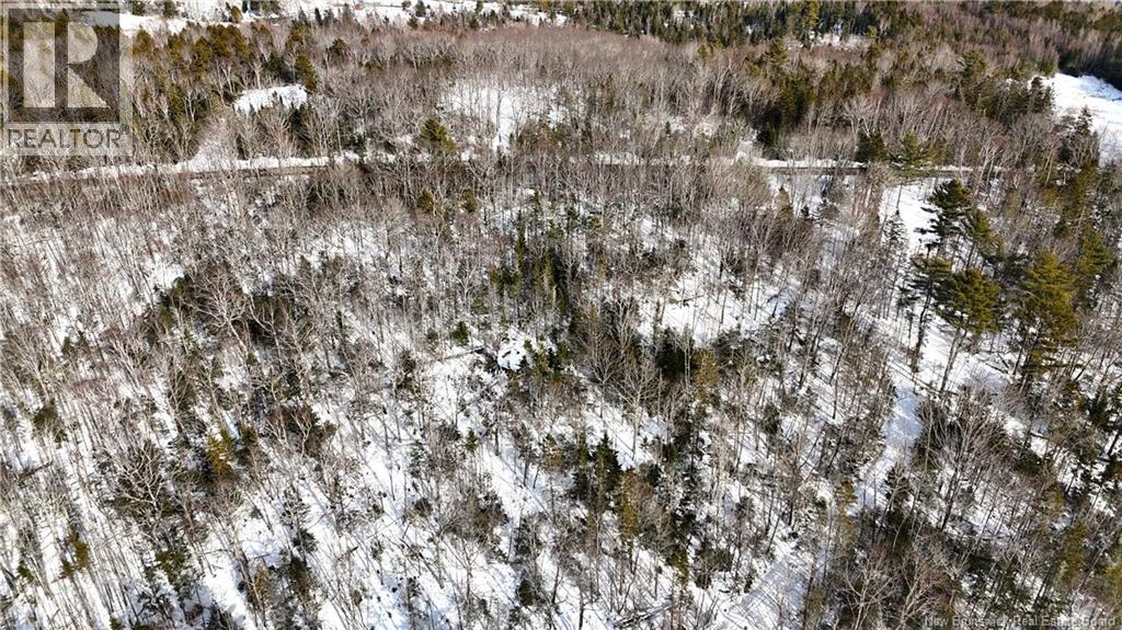 Lot 12-2 Hills Point Road, Oak Bay, New Brunswick  E3L 4K5 - Photo 20 - NB133952