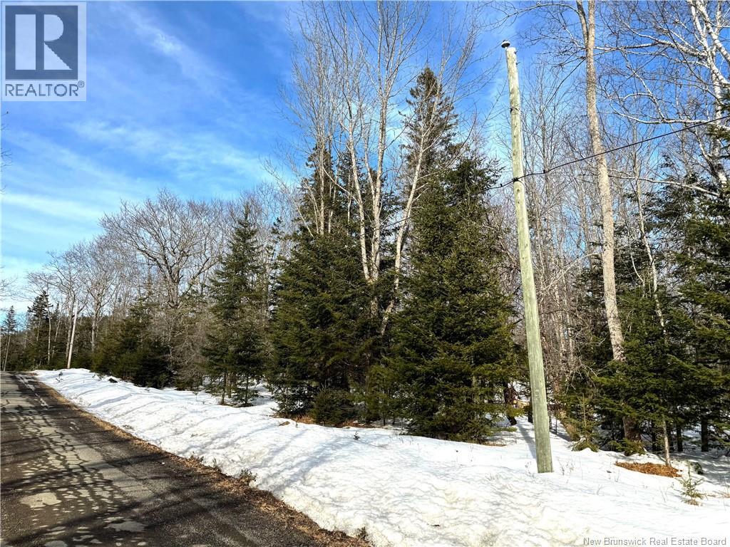 Lot 12-2 Hills Point Road, Oak Bay, New Brunswick  E3L 4K5 - Photo 7 - NB133952