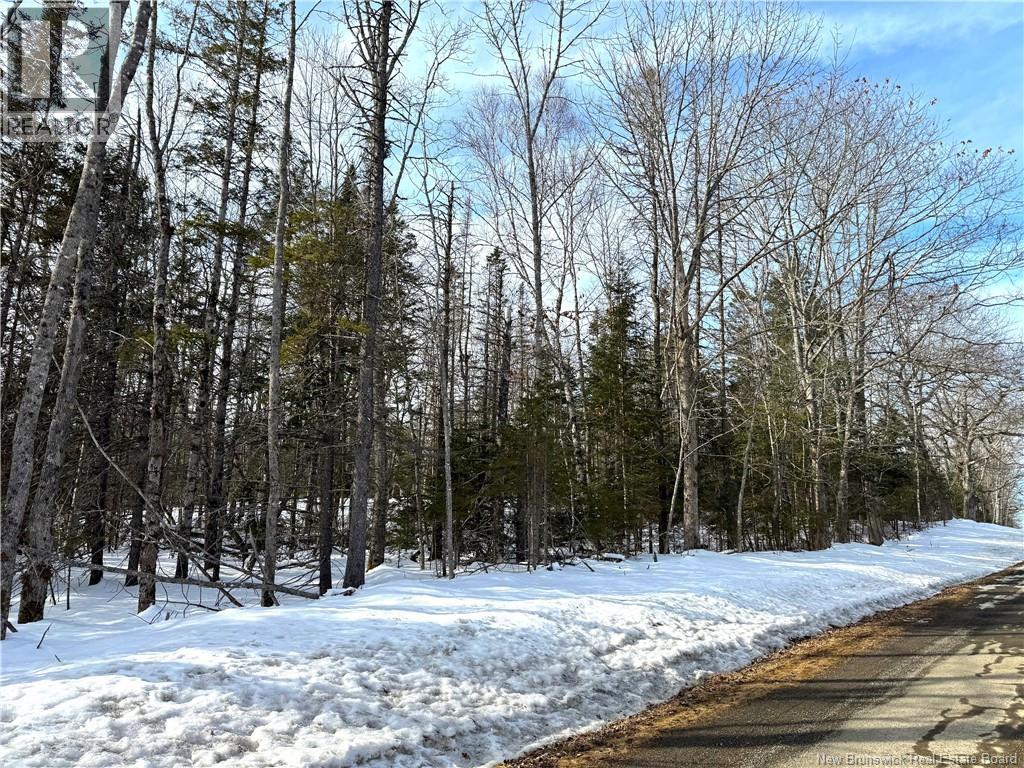 Lot 12-2 Hills Point Road, Oak Bay, New Brunswick  E3L 4K5 - Photo 9 - NB133952