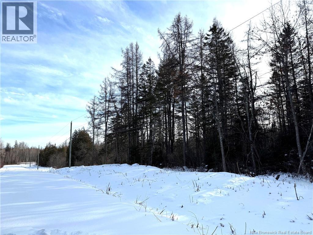 000 Lot Route 3, Lawrence Station, New Brunswick  E5A 3C5 - Photo 5 - NB133954