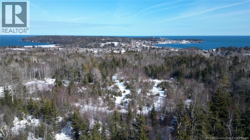 176 Route 776, Grand Manan, New Brunswick  E5G 1A3 - Photo 4 - NB134754