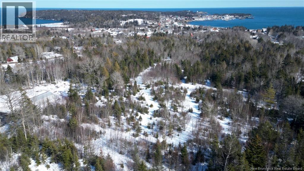 176 Route 776, Grand Manan, New Brunswick  E5G 1A3 - Photo 5 - NB134754