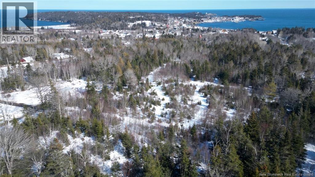 176 Route 776, Grand Manan, New Brunswick  E5G 1A3 - Photo 7 - NB134754