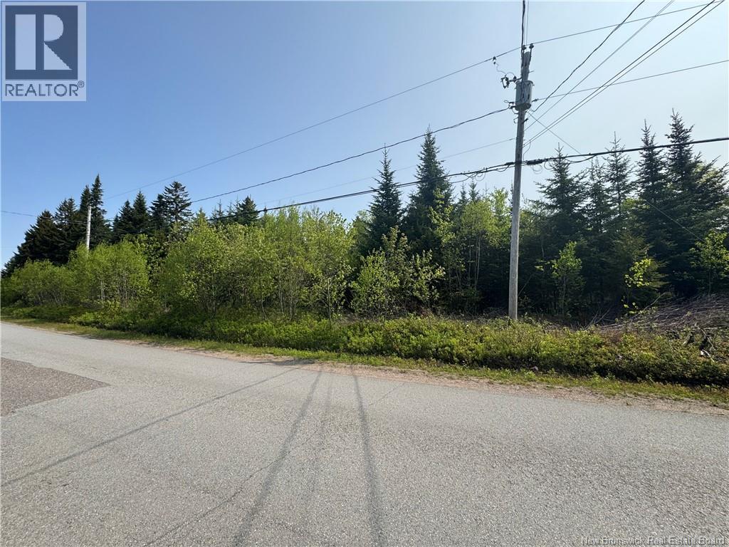 Route 770, Lee Settlement, New Brunswick E5C 1G3 - Photo 5 - NB135043
