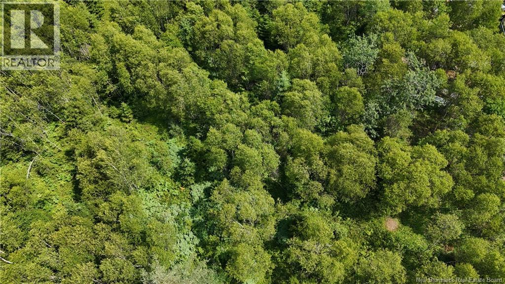 Route 780, Utopia, New Brunswick  E5C 2G1 - Photo 4 - NB135034